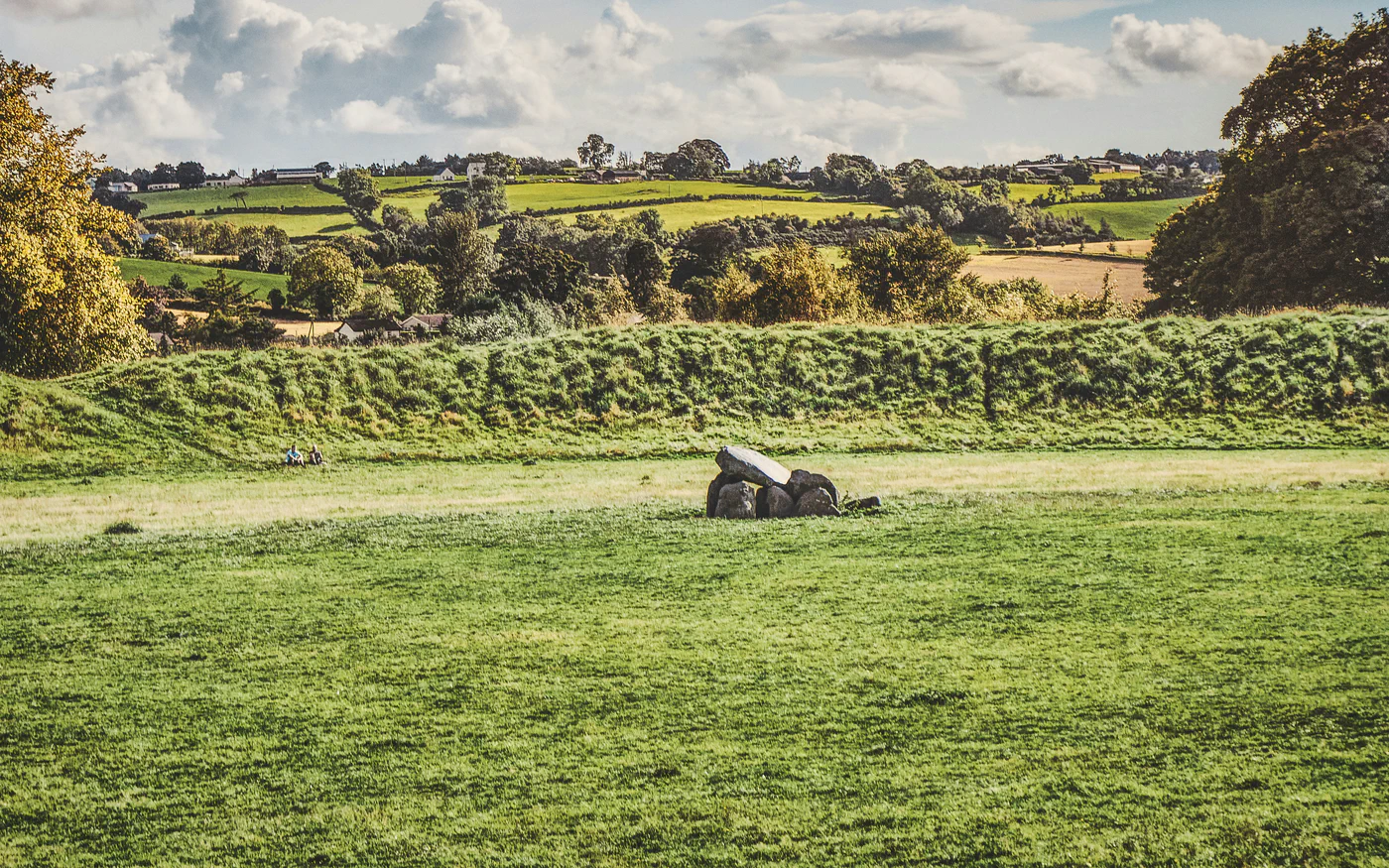 Fields and hedgerows in the Irish countryside; an illustrative landscape for paternal-line research.