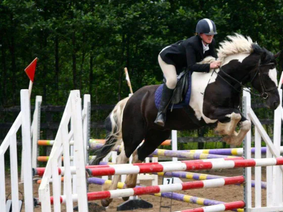 Hourse riding drumshanbo 1200x800