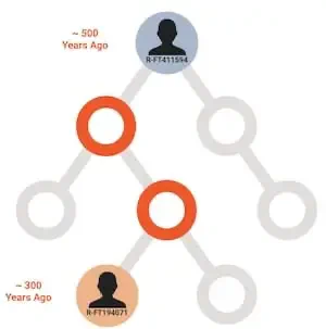 haplogroup_tree