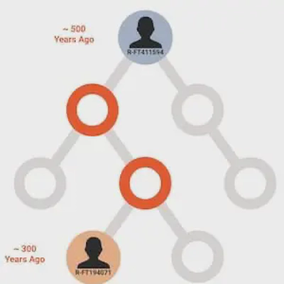 haplogroup_tree haplogroup_tree