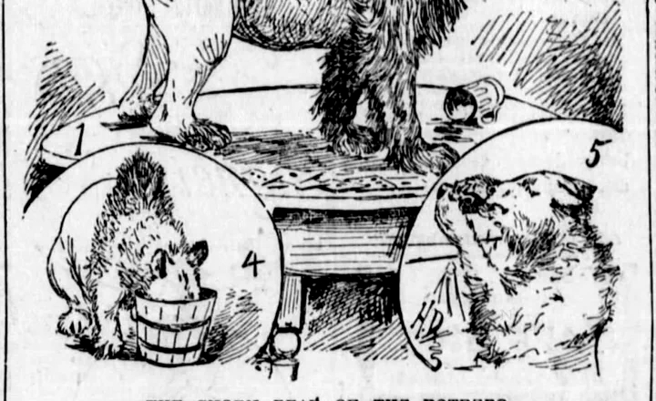 The Shorn Bear of the Potrero, The Examiner, 8 January 1893, page 17.