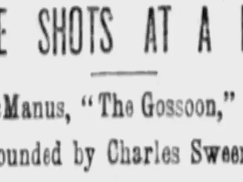 3 Shots at a Bully