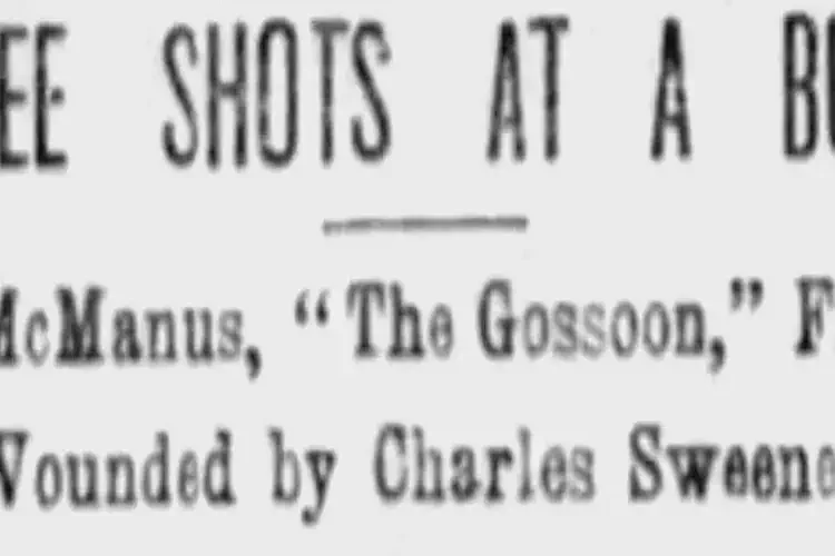 3 Shots at a Bully
