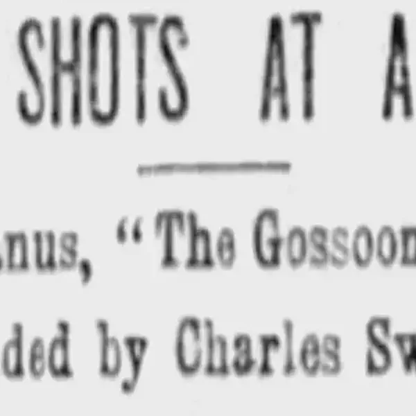 3 Shots at a Bully