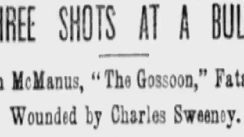 3 Shots at a Bully