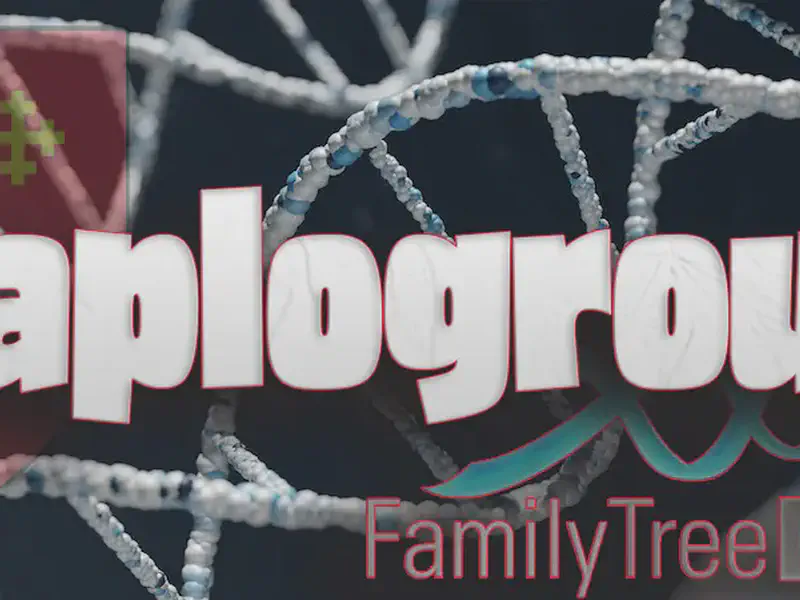 Haplogroup H1-C16239T
