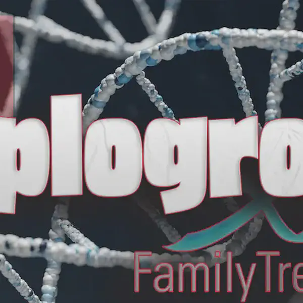 Haplogroup H1-C16239T