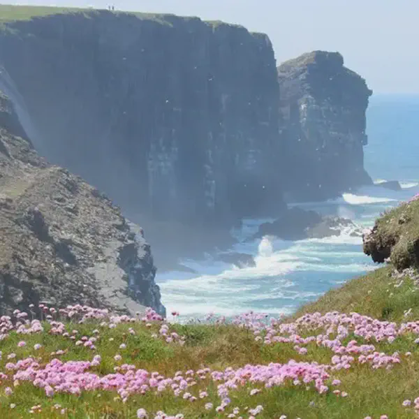 Mary McManus
