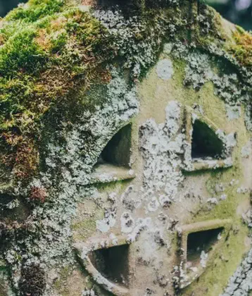 Arigna, Roscommon
