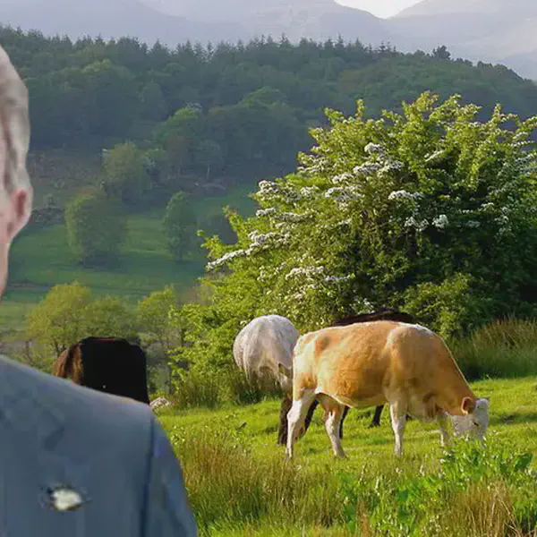 JP McManus