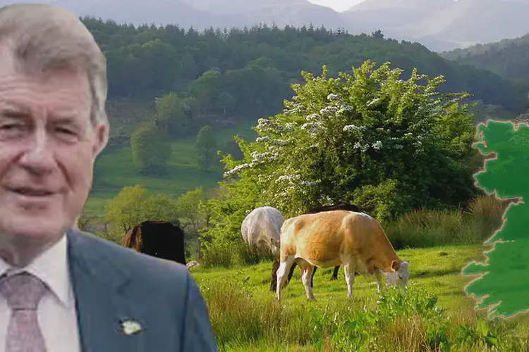 JP McManus