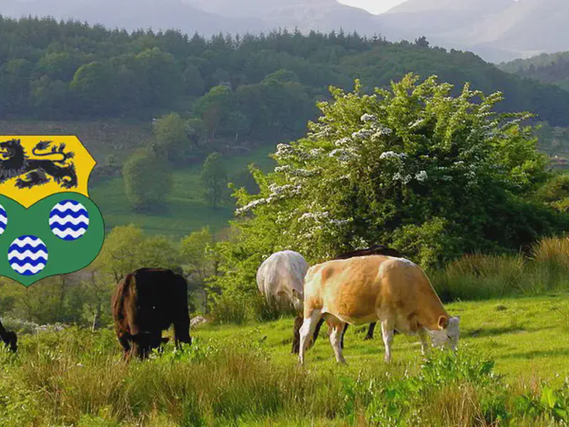 Leitrim McManus