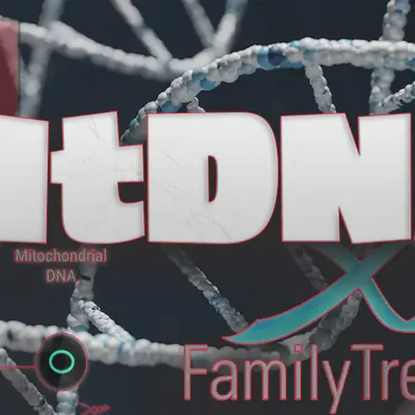 MtDNA