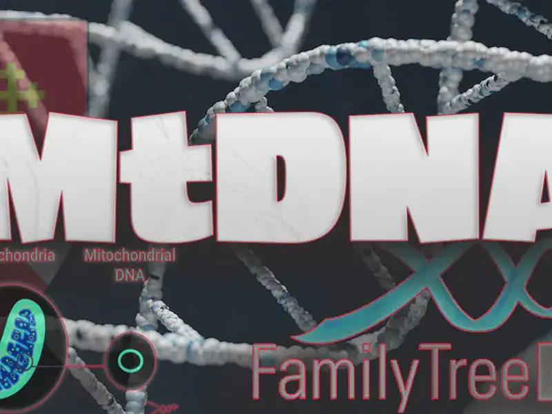 MtDNA