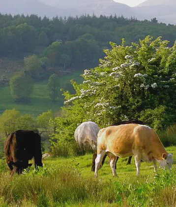 Keadue, Roscommon