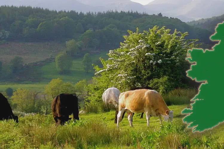 Keadue, Roscommon