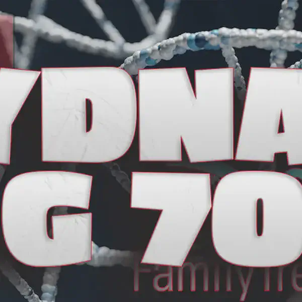 YDNA Big 700 Matches