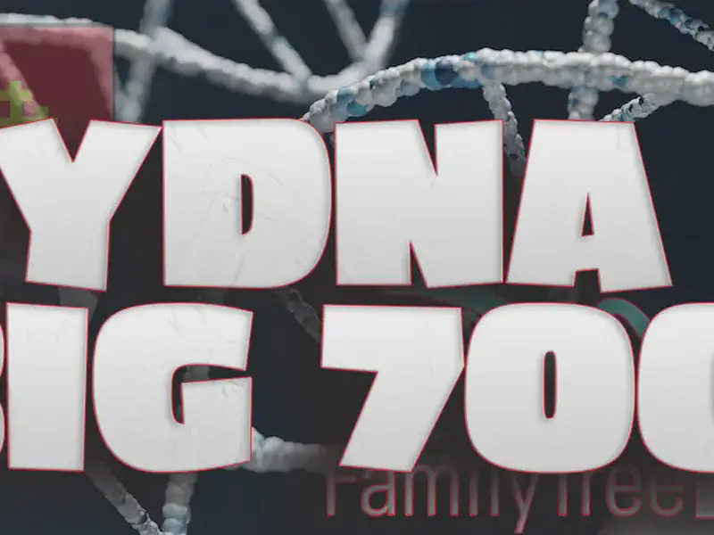 YDNA Big 700 Matches