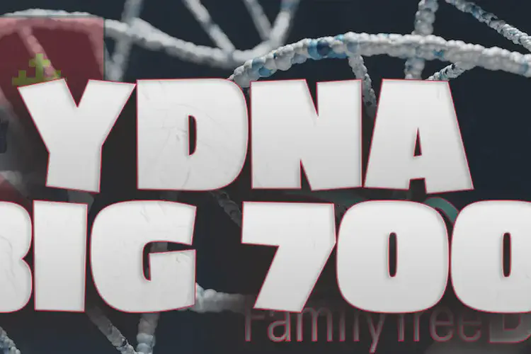 YDNA Big 700 Matches